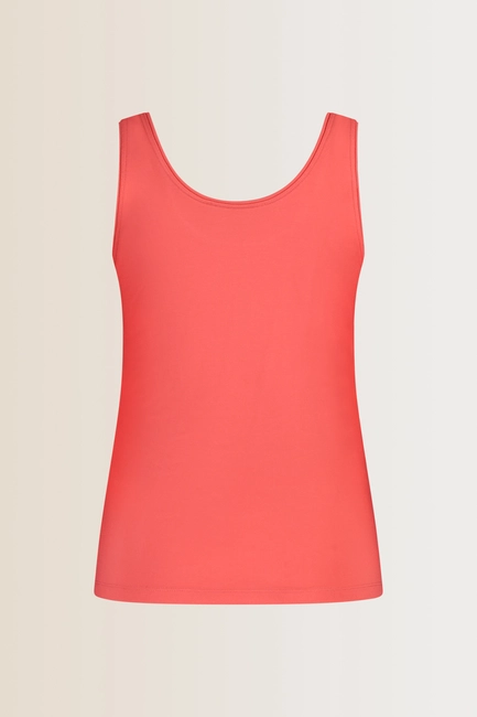 Aansluitend singlet